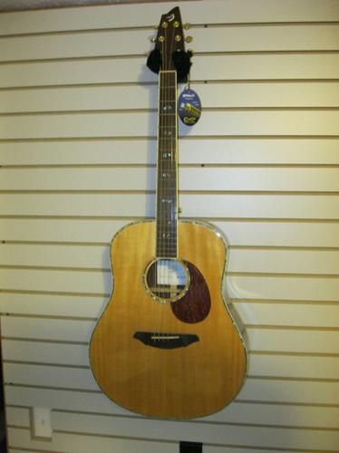 Breedlove AD20SR plus