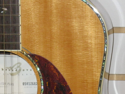 Breedlove AD20SR plus soundhole