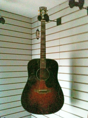 Blueridge BR340