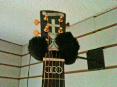 Blueridge BR340 headstock