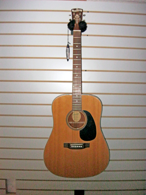 Blueridge BR60 guitar front