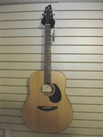 Breedlove AD200/SM front