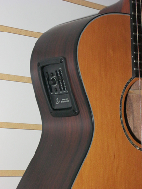Breedlove N250/CR side