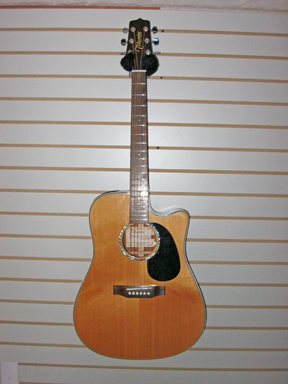 Takamine EG530SSC