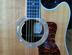 Taylor - Dan Crary. Closeup