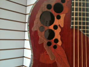 Ovation - CC48 close-up