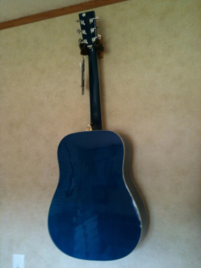 Indiana - Scout Blueburst back