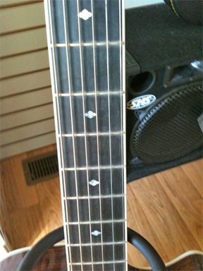 Taylor - Dan Crary neck