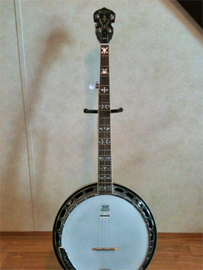 Washburn - B16