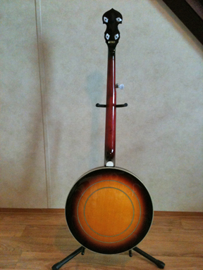 Washburn - B16 back