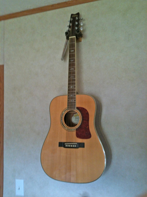 Washburn - D121S/NA