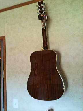 Washburn - D121S/NA back